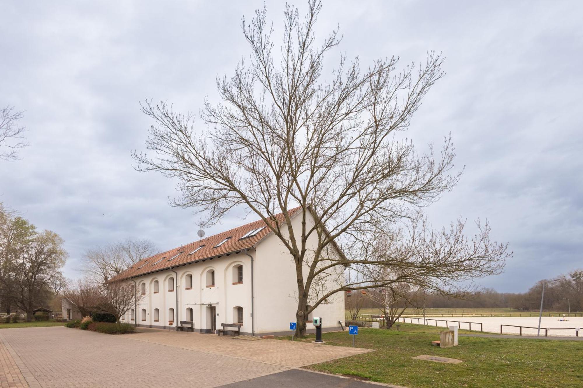 Vadkert Major Hotel Sarvar Exterior photo
